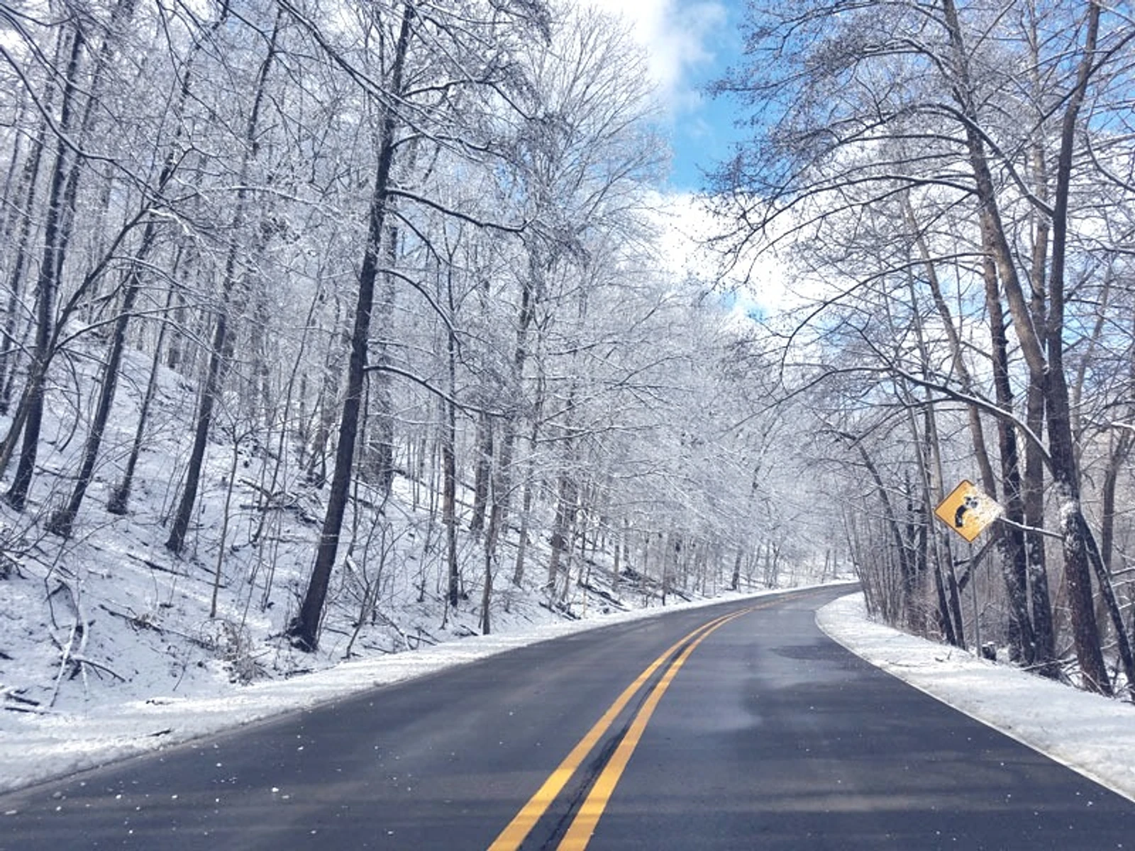 Make the most out of your commute